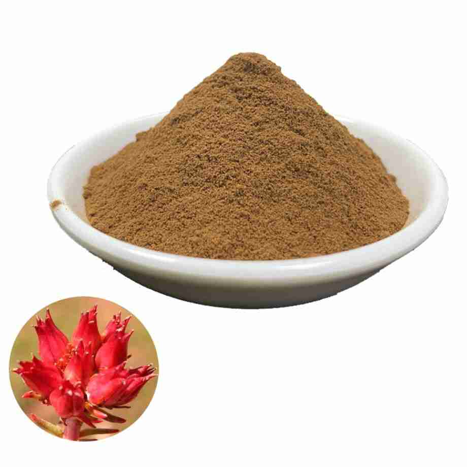rhodiola rodiola rosea powder