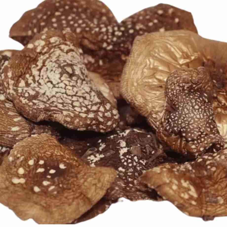 Amanita Phanterina Getrocknet Cerimona und Microdosing