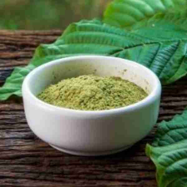 Kratom Bali White - Mitragyna Speciosa