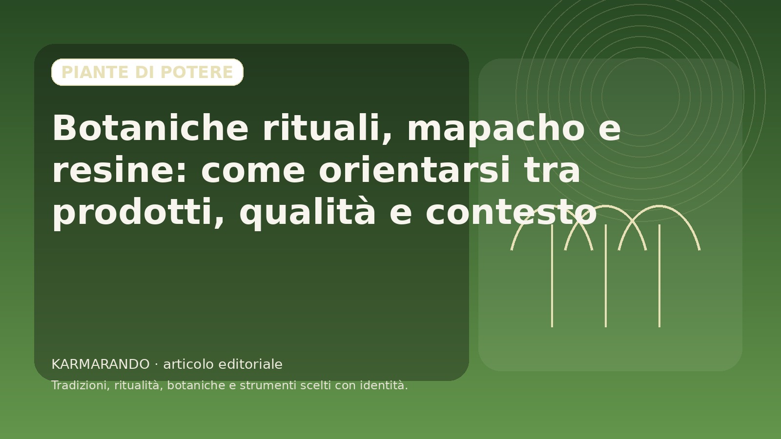 Botanische Rituale, Mapachos und Harze: Wie man sich zwischen Produkten, Qualität und Kontext orientiert
