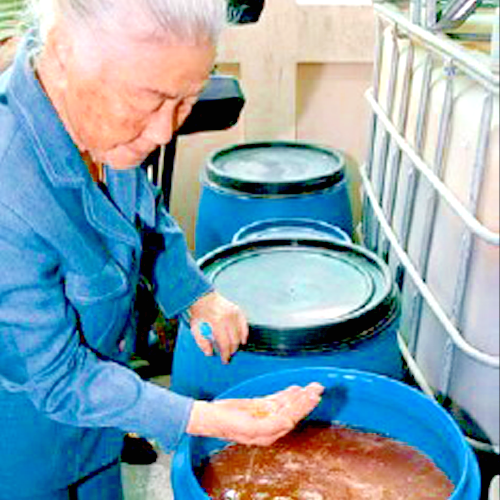 Fermentati Fervida - Microrganismi Effettivi 7 anni